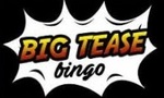 Official Bigtease Bingo logo of the closed bingo network