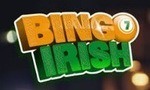 Bingo Irish casino logo