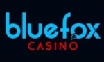 Bluefox Casino desktop lobby screenshot