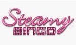 Original Steamy Bingo logo