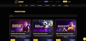 Donbet casino sportsbook and slots interface