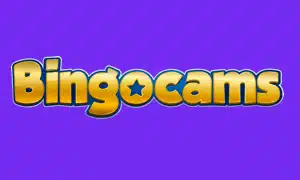 Bingo Cams logo, a former Dazzletag webcam-bingo brand